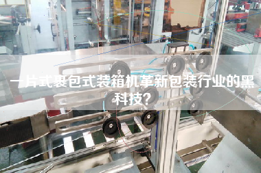 一片式裹包式装箱机革新包装行业的黑科技