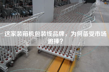 这家装箱机包装线品牌，为何备受市场追捧