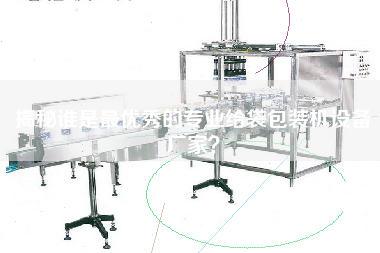 揭秘谁是最优秀的专业给袋包装机设备厂家