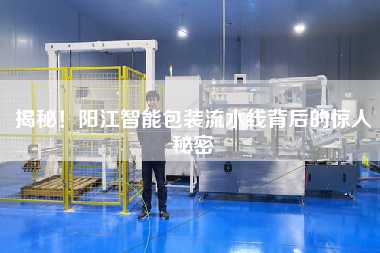 揭秘！阳江智能包装流水线背后的惊人秘密