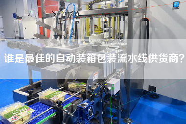 谁是最佳的自动装箱包装流水线供货商