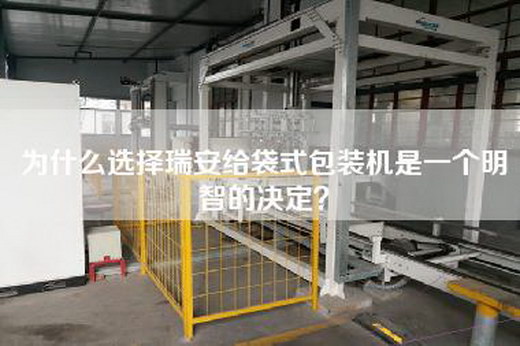 为什么选择瑞安给袋式包装机是一个明智的决定？